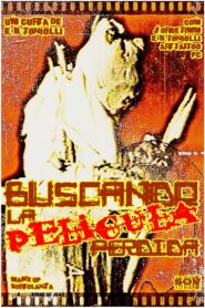 Buscando la Película Perdida 2004 on netflix