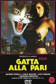 Gatta alla pari 1993 on netflix