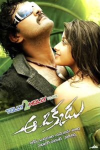 Aa Okkadu 2009 on netflix