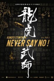 Kung Fu Stuntmen 2021 on netflix