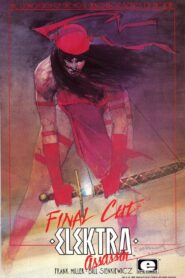 Elektra: Incarnations 2005 on netflix