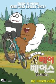 We Bare Bears Film: Bear Brothers 2017 on netflix