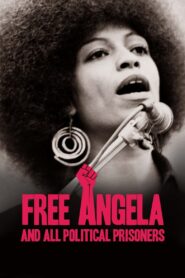 Free Angela and All Political Prisoners 2012 on netflix