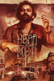 Head Bush: Vol 1 2022 on netflix