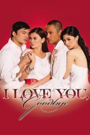 I Love You, Goodbye 2009 on netflix