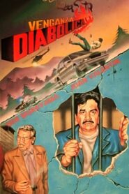 Diabolical Vengeance 1990 on netflix