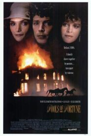 Fools of Fortune 1990 on netflix