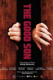 The Good Son 2013 on netflix