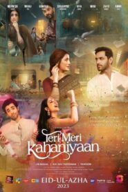Teri Meri Kahaniyaan 2023 on netflix