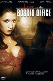 Love in the Bosses Office 2006 on netflix