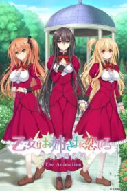 Otome wa Boku ni Koishiteru: Trinkle Stars The Animation 2021 on netflix