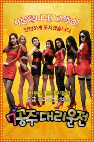 Seven Princess Driver 2015 on netflix