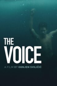 The Voice 2019 on netflix