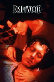 Driftwood 1997 on netflix