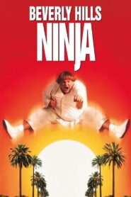 Beverly Hills Ninja 1997 on netflix
