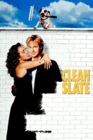 Clean Slate 1994 on netflix