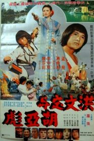 The Guy with the Secret Kung Fu 1980 on netflix