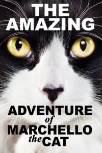 A Cat’s Tale 2008 on netflix