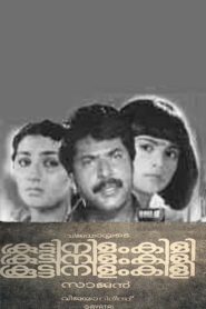 Koottinilamkili 1984 on netflix