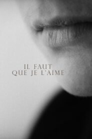 Il faut que je l’aime 1994 on netflix