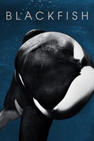 Blackfish 2013 on netflix