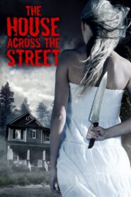 The House Across the Street 2013 on netflix