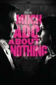 Much Ado About Nothing 2013 on netflix