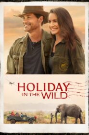 Holiday in the Wild 2019 on netflix