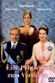 Princess Undercover 2005 on netflix