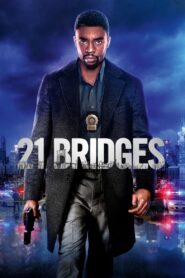 21 Bridges 2019 on netflix