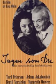 No One Like You 1994 on netflix
