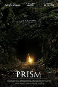 Prism 2015 on netflix