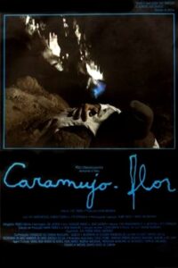 Caramujo-Flor 1988 on netflix