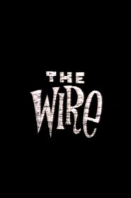 The Wire 1996 on netflix