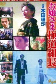 Ojosama Gokudo Team Leader 1991 on netflix