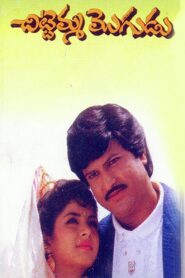 Chittemma Mogudu 1992 on netflix