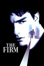 The Firm 1993 on netflix