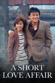 A Short Love Affair 1990 on netflix