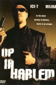Up in Harlem 2004 on netflix