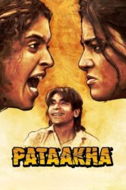 Pataakha 2018 on netflix
