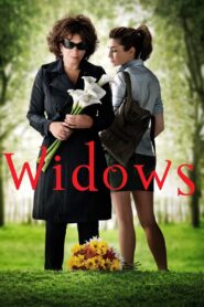 Widows 2011 on netflix