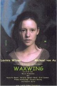 Waxwing 1998 on netflix