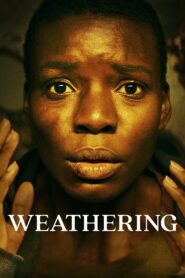 Weathering 2023 on netflix
