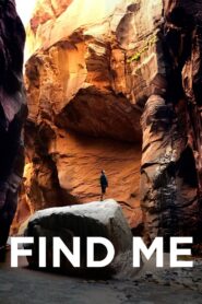 Find Me 2018 on netflix