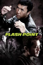 Flash Point 2007 on netflix