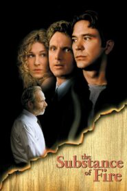 The Substance of Fire 1996 on netflix