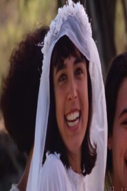 Festa de Casamento 1990 on netflix