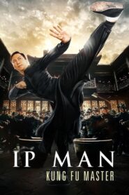 Ip Man: Kung Fu Master 2019 on netflix