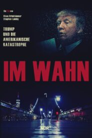 In Delusion: Trump and the American Catastrophe 2020 on netflix
