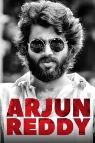 Arjun Reddy 2017 on netflix